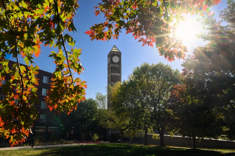 Close-up detail of multi-colored fall leaves on a tree branch with the Student Activities Center clock tower in the…