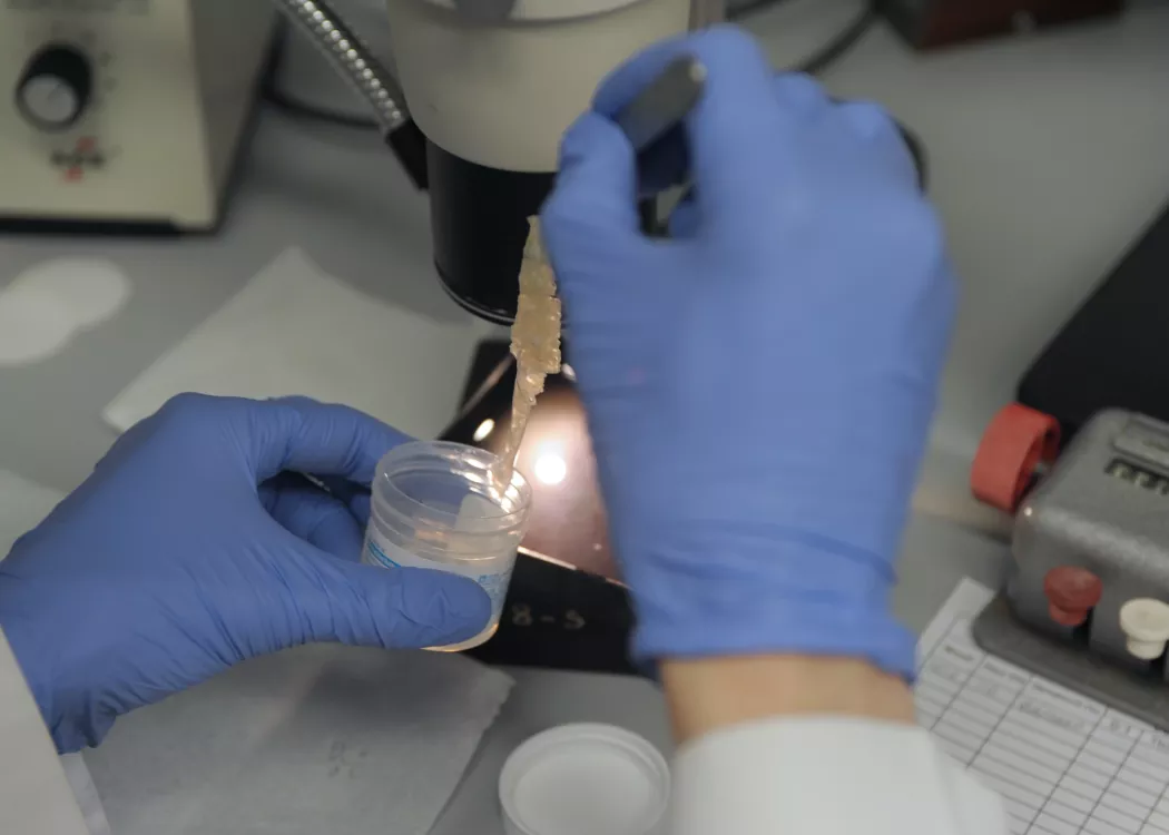 Close up image of researching in a lab