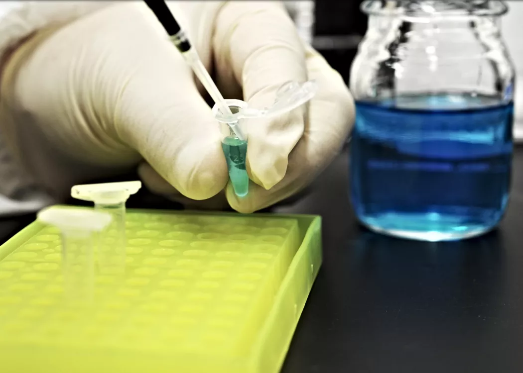 Close up image of lab work