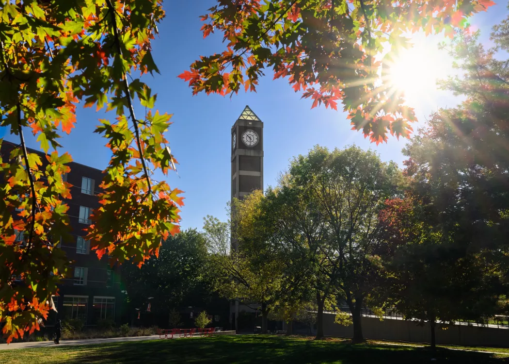 Close-up detail of multi-colored fall leaves on a tree branch with the Student Activities Center clock tower in the…