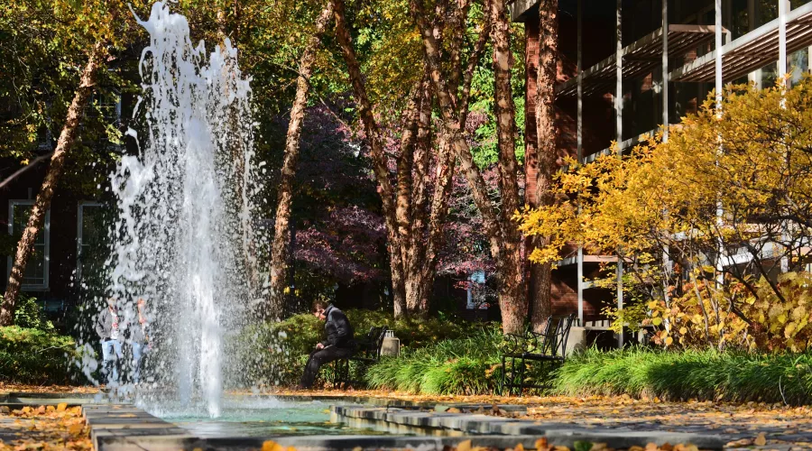 Man sitting in front of Schneider Hall fountain in fall