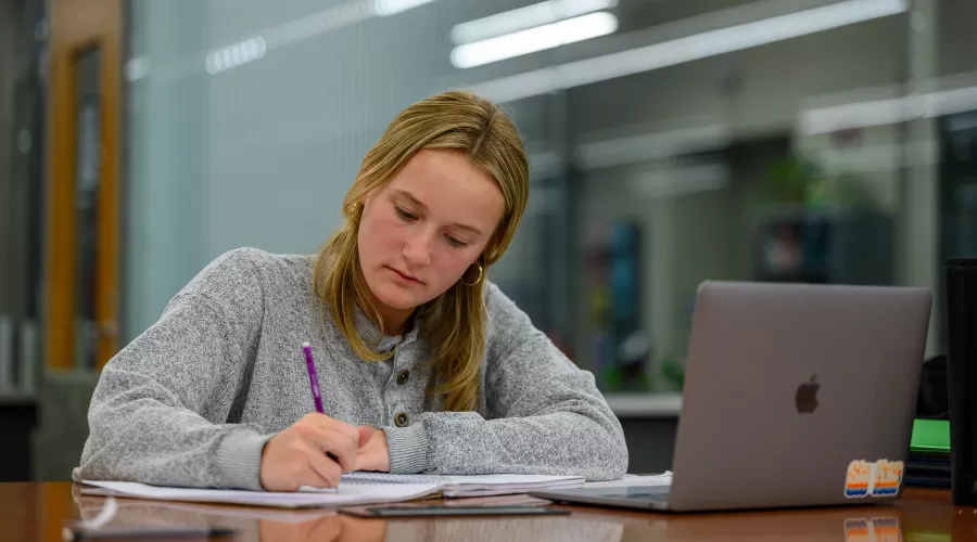 Student working in the Ekstrom Library.