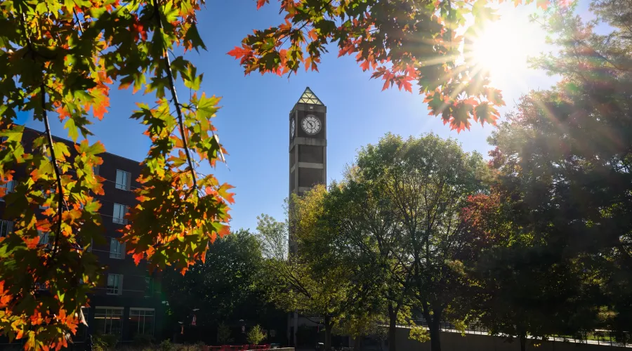 Close-up detail of multi-colored fall leaves on a tree branch with the Student Activities Center clock tower in the…